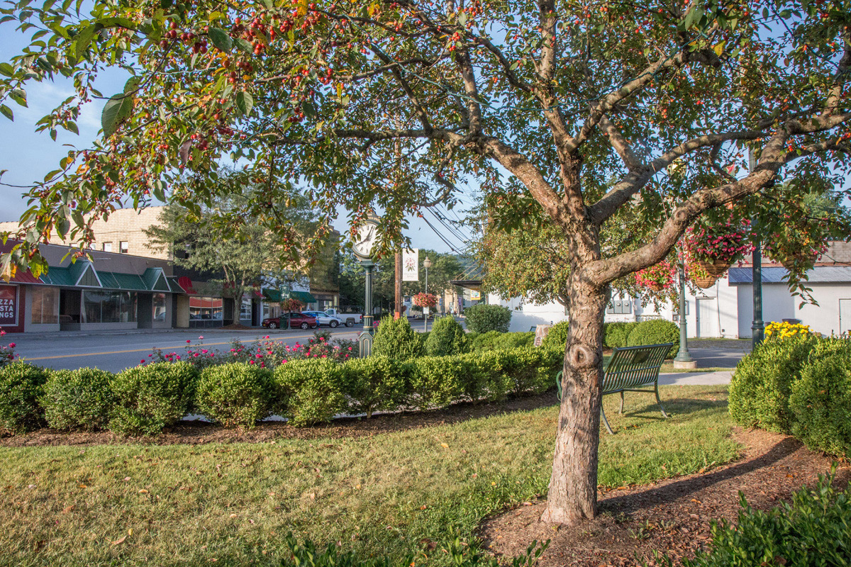 Main Street White Sulphur Springs
