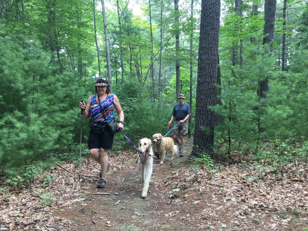 Miles of hiking trails surround White Sulphur Springs.