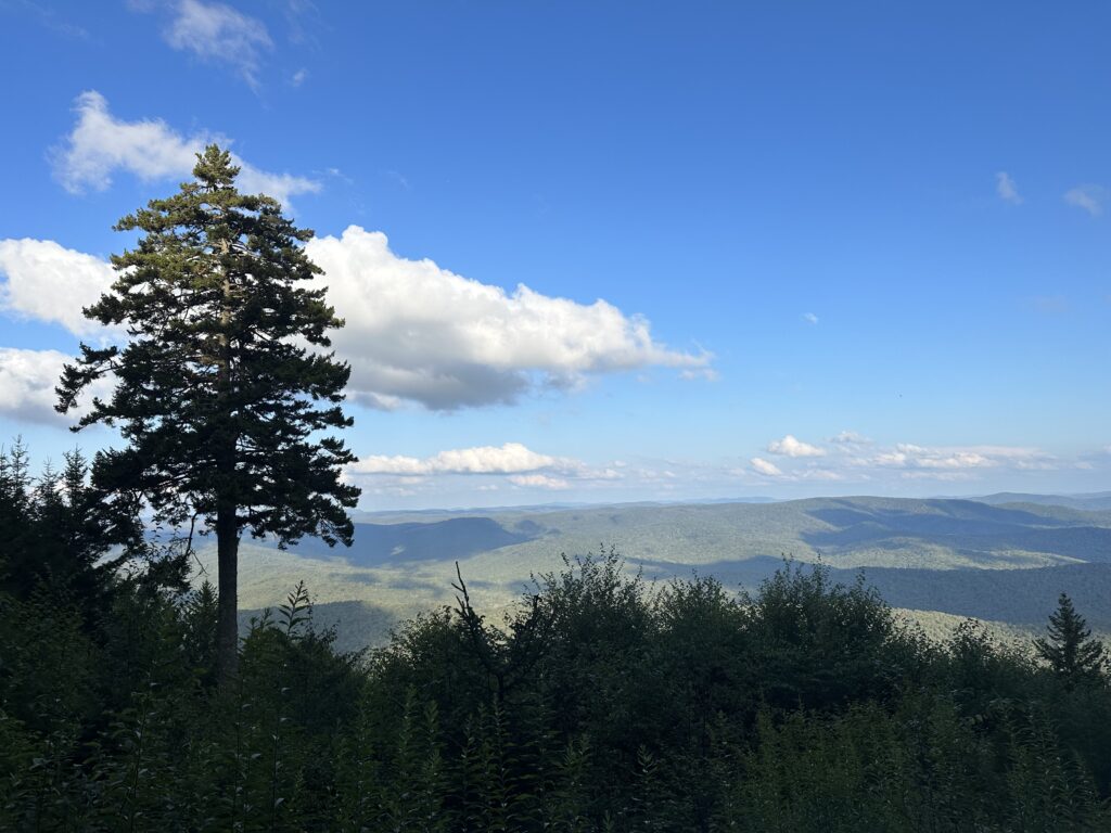 Scenic Overlook on Gaudineer Knob Trail