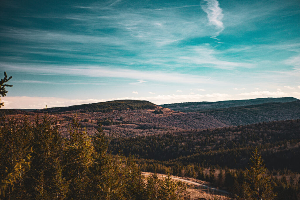 Mountains at Mower Basin