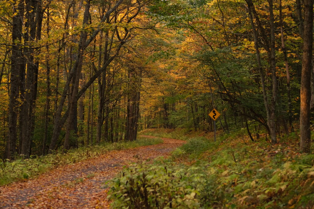 Master the Mon on Forest Service Roads