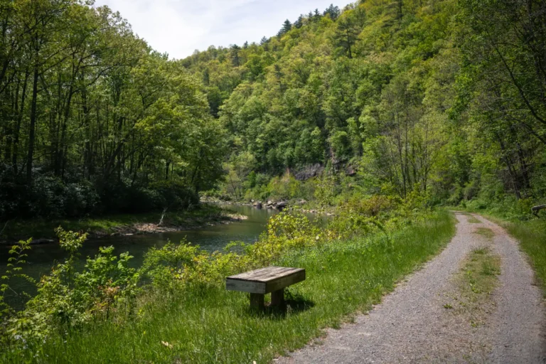 Riverside bench along gravel rail trail