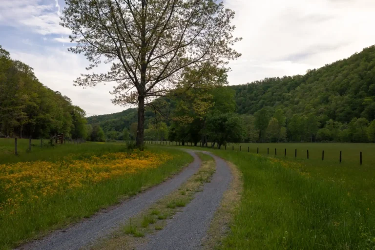 gravel rail trail with flowers and farmland