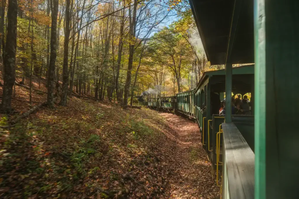 View from Cass Scenic Railroad train as it winds up a forested mountain during fall