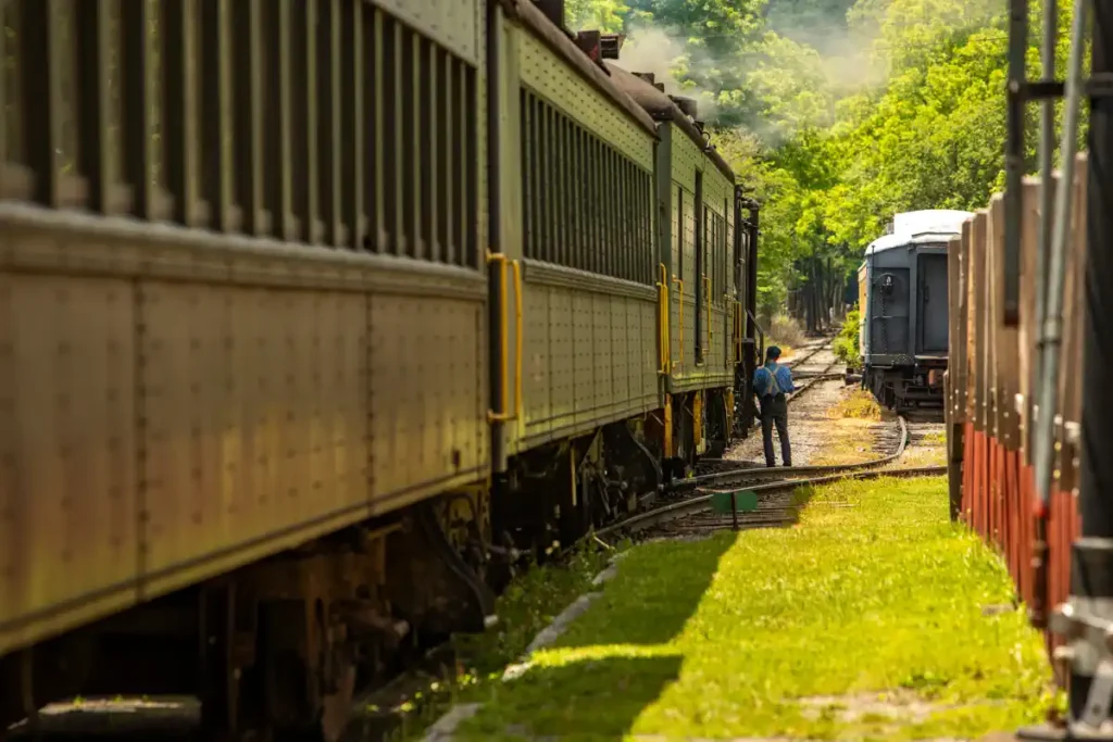A train conductor stands next to a vintage scenic railroad train, surrounded by lush green trees under a sunny sky, evoking a nostalgic atmosphere.
