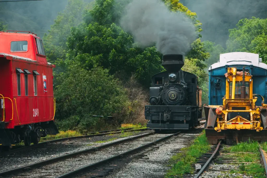 A historic black steam locomotive puffs smoke as it travels into the green trees of the Monongahela National Forest on a scenic railroad trip to Durbin