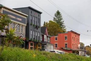 Thomas Mainstreet - Mon Forest Towns A row of colorful buildings on a quaint street in Thomas, West Virginia, featuring a coffeebar, music venue, and bakery. Overcast sky and trees suggest a calm autumn day.