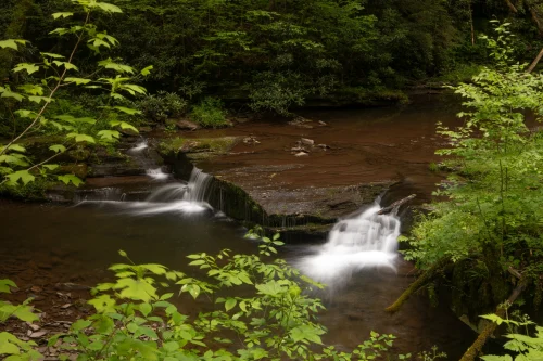 Fernow Exp. Forest