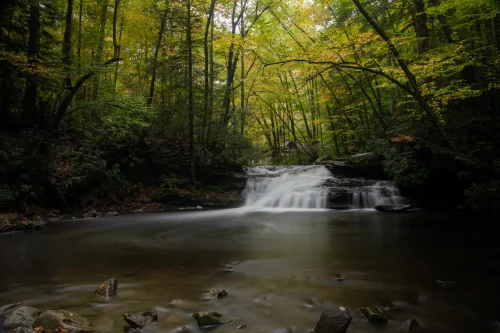 Kumbrabow State Forest