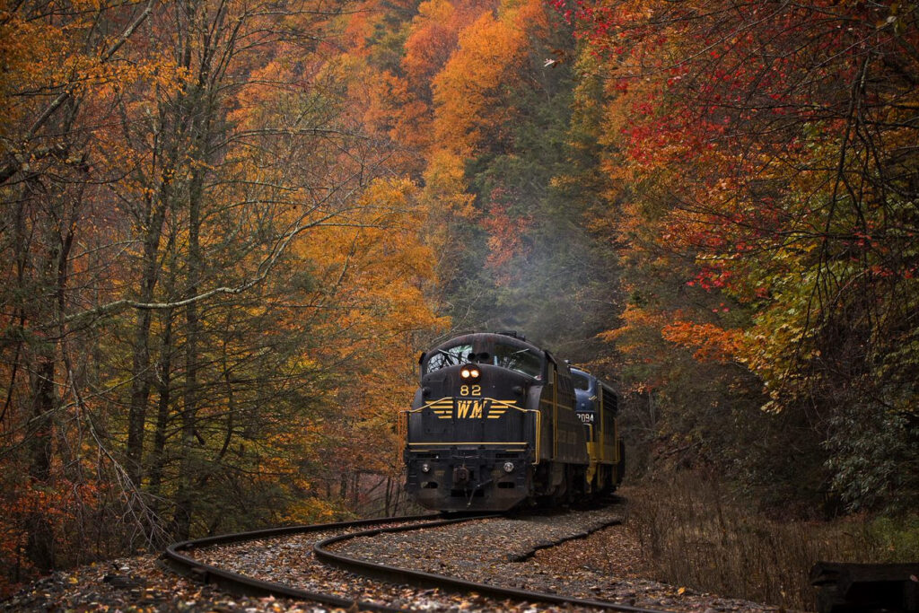 A black and yellow vintage scenic railroad train travels through a serene forest with vibrant autumn foliage in orange, red, and yellow, creating a nostalgic mood.